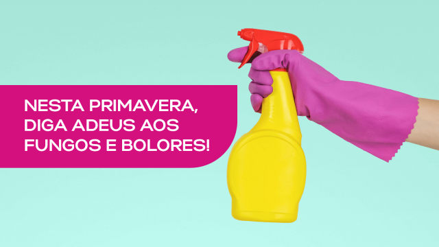 Nesta Primavera, diga adeus aos fungos e bolores!