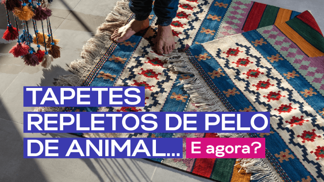 Carpets full of animal fur and dirt... How can I solve it?