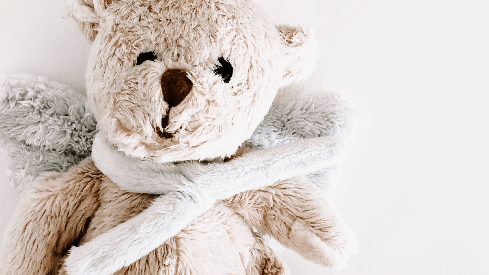 Have the soft toys been washed today?