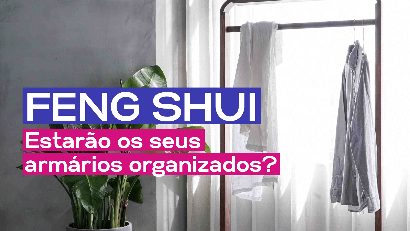 Estarão os seus armários organizados?