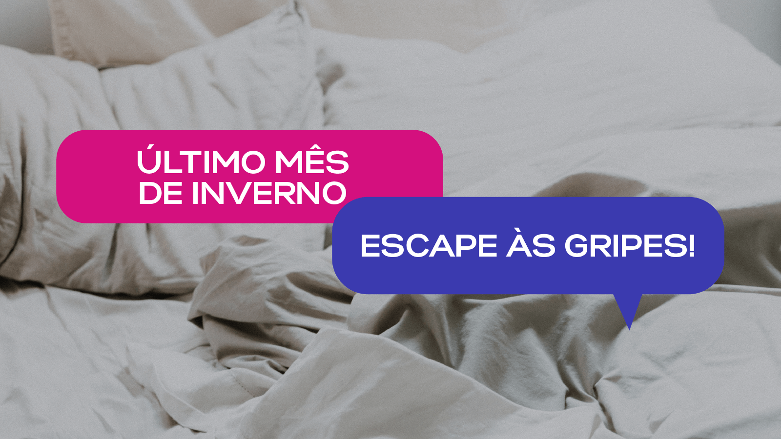 Last Month of Winter! Learn how to escape the flu!